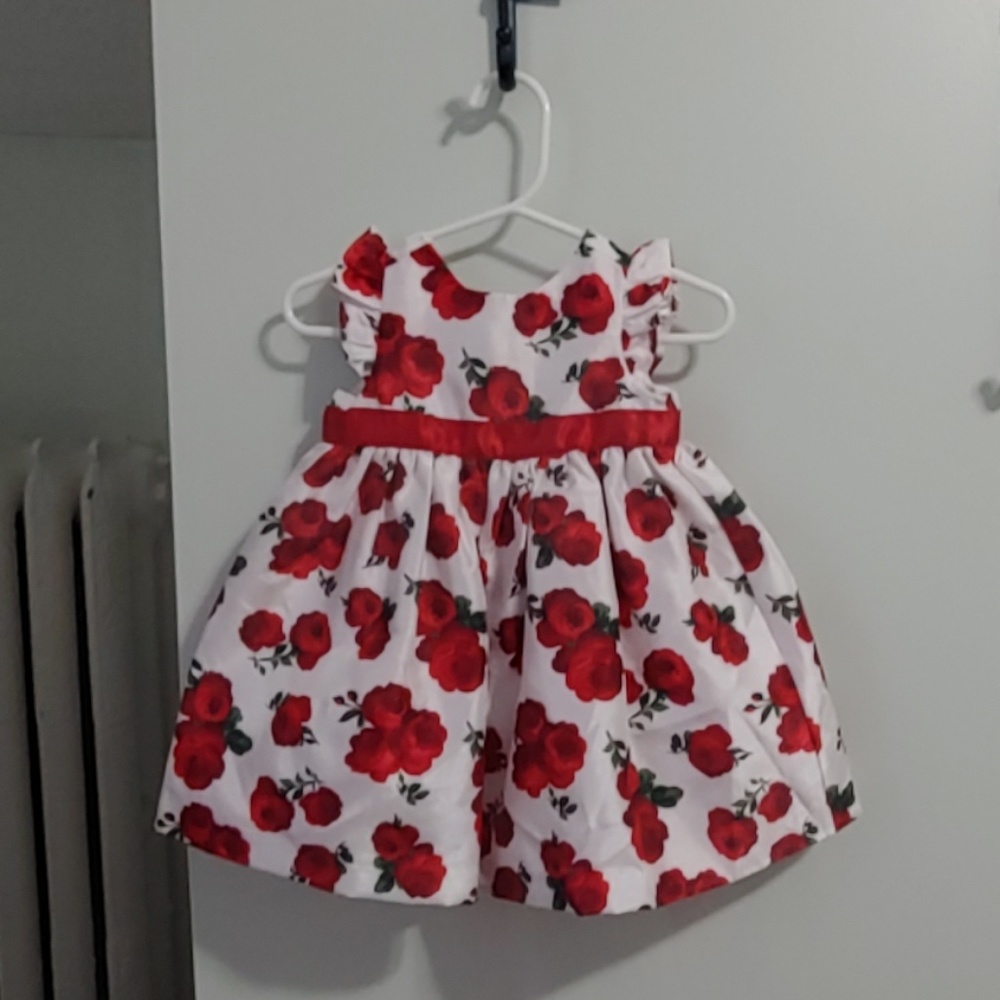 Gymboree rose baby dress